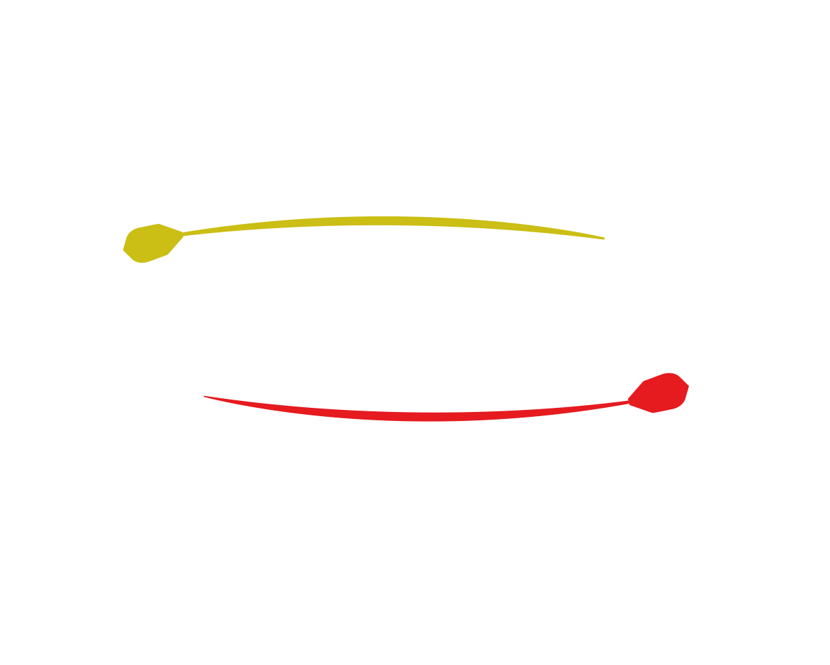 BeDarts